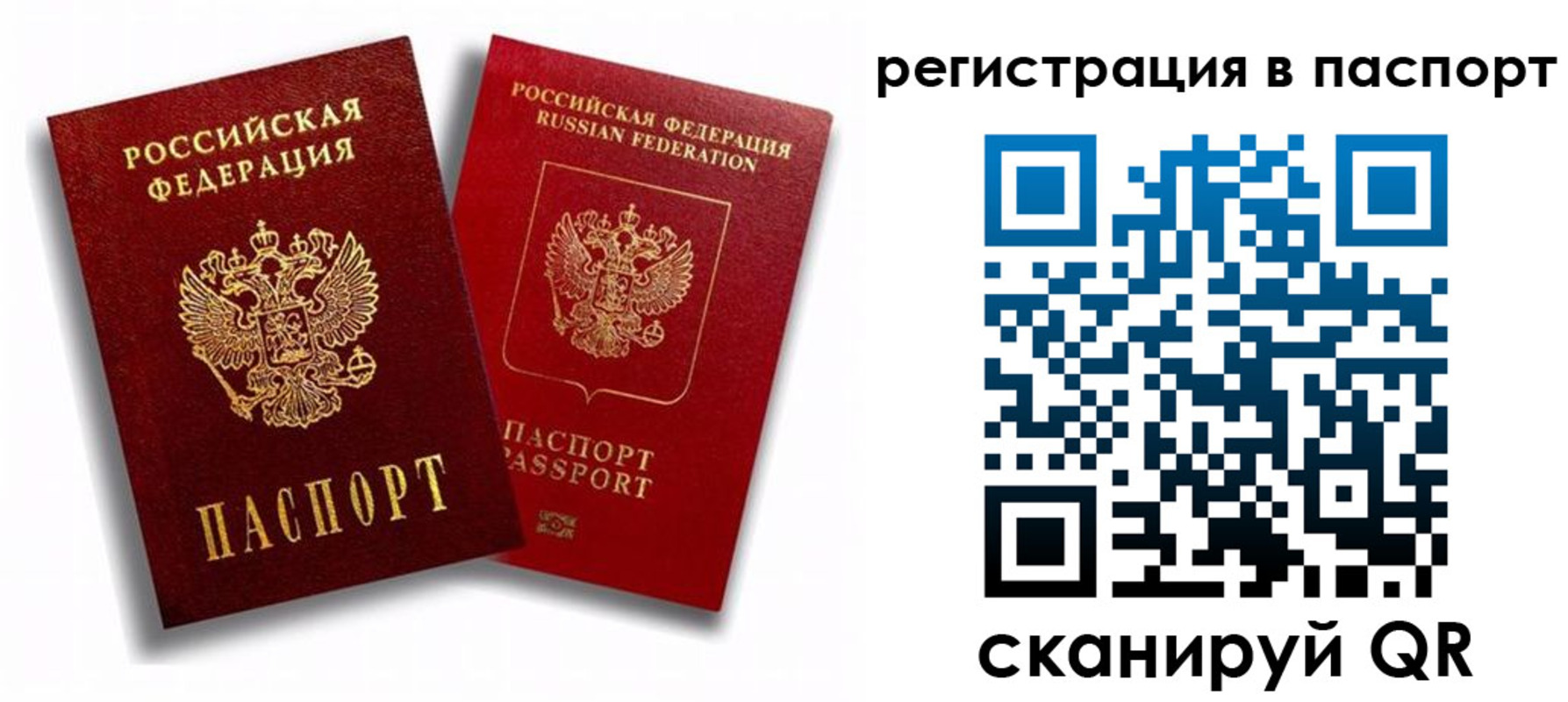 прописка 2025 в Чайковском